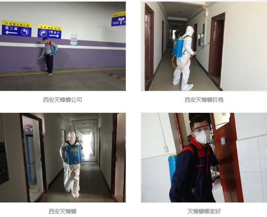 西安灭pg电子公司
