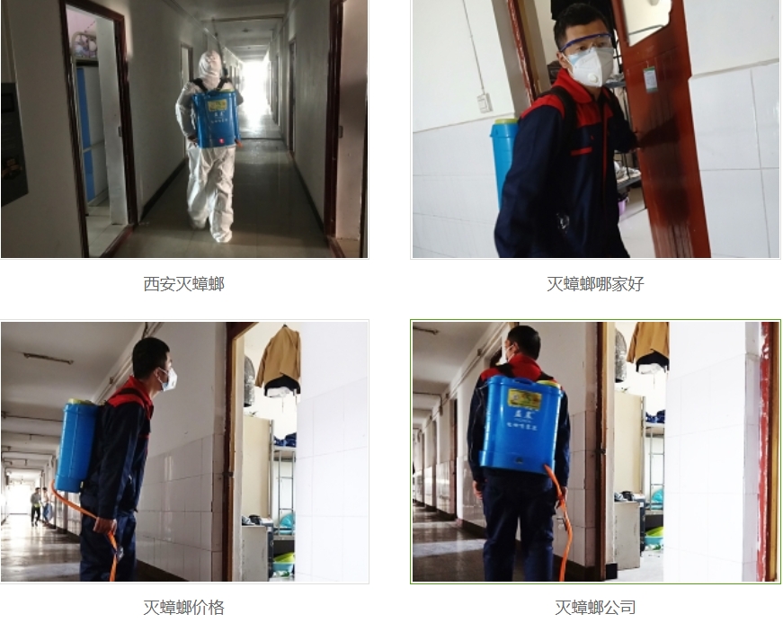 西安灭pg电子公司